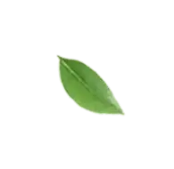 paint remover,paint remover,paint remover besi,paint remover plastik,paint remover velg,paint remover vip,paint remover beli dimana,paint remover body motor,paint remover kayu